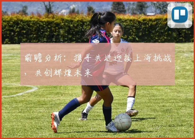 前瞻分析：携手共进迎接上海挑战，共创辉煌未来