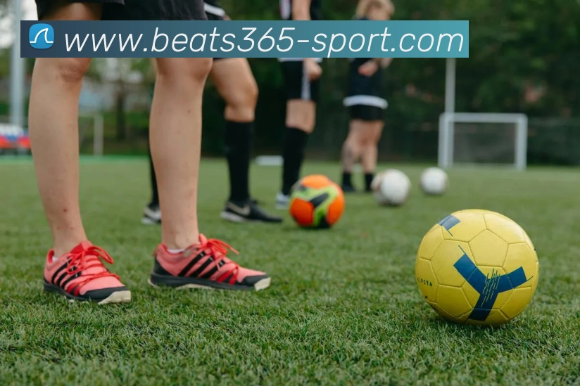 beats365体育平台生态图