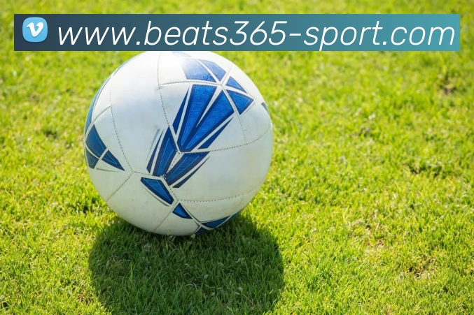 beats365体育APP 封面图