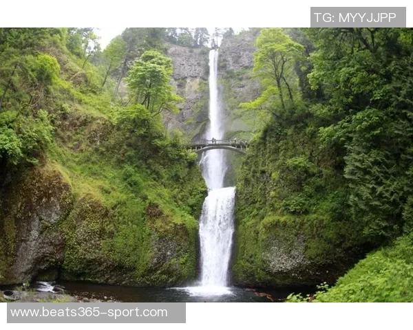 林葳波特兰游记分享看球之余打卡马尔特诺玛瀑布美景