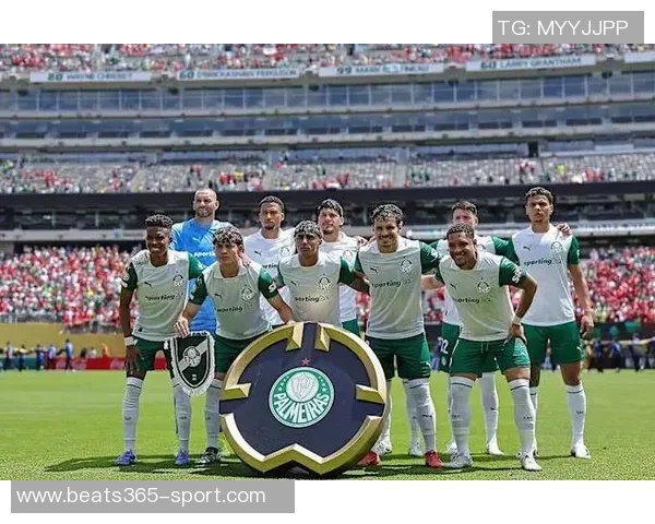 迈阿密即将租借帕尔梅拉斯中卫米凯尔并附带买断选项